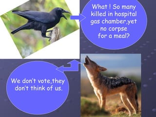 What ! So many
                      killed in hospital
                      gas chamber,yet
                          no corpse
                         for a meal?




We don’t vote,they
 don’t think of us.
 