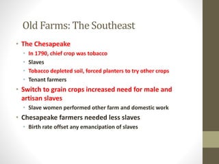 Old Farms: The Southeast 
• The Chesapeake 
• In 1790, chief crop was tobacco 
• Slaves 
• Tobacco depleted soil, forced planters to try other crops 
• Tenant farmers 
• Switch to grain crops increased need for male and 
artisan slaves 
• Slave women performed other farm and domestic work 
• Chesapeake farmers needed less slaves 
• Birth rate offset any emancipation of slaves 
 