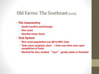 Old Farms: The Southeast (cont) 
• The Lowcountry 
• South Carolina and Georgia 
• Rice coast 
• Needed many slaves 
• Task System 
• Rice coast population was 80 to 90% slave 
• Tasks were assigned, slave’s time was their own upon 
completion of tasks 
• Worked for hire, tended “own” garden plots or livestock 
 
