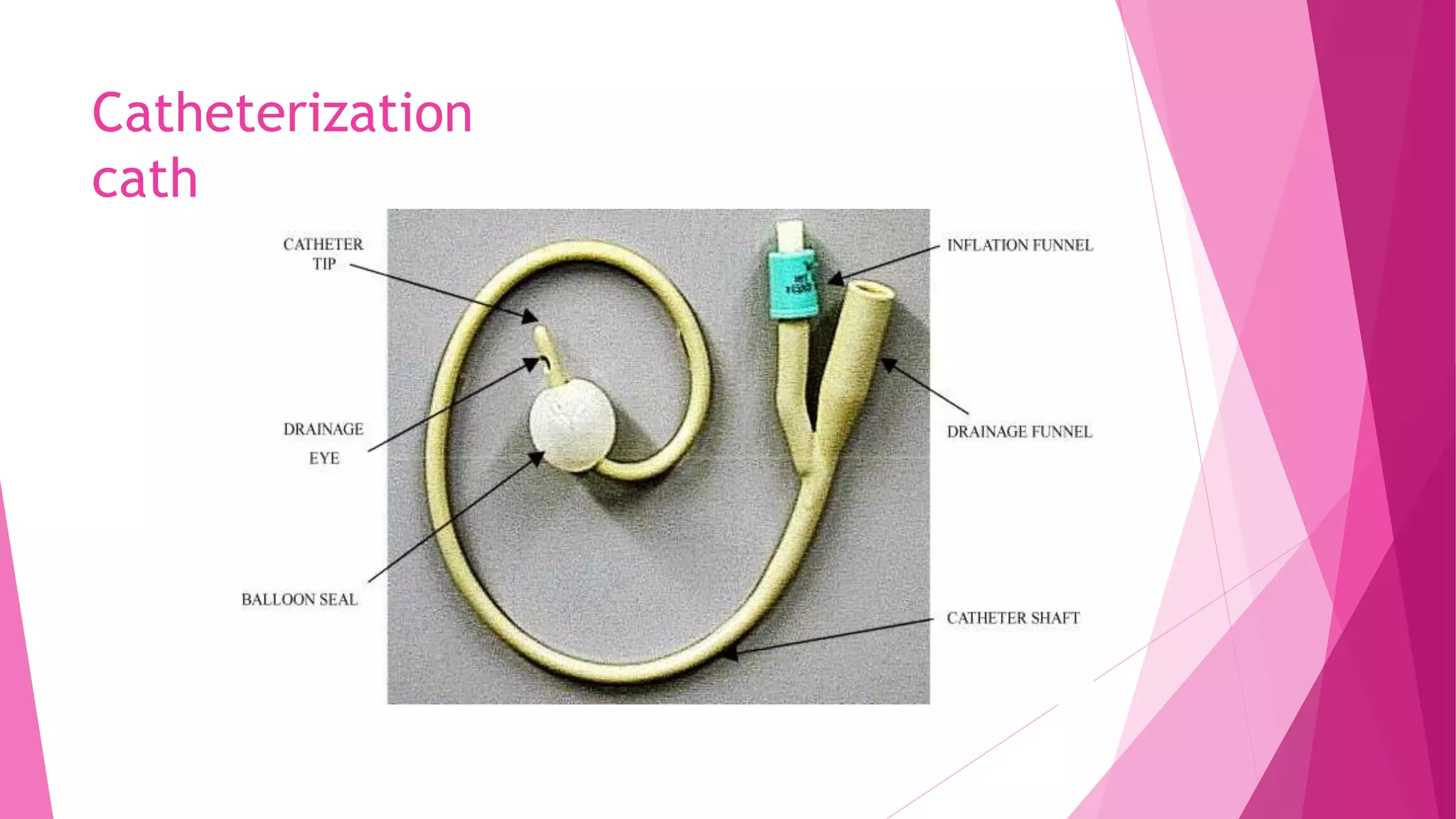 Catheterization
cath
 