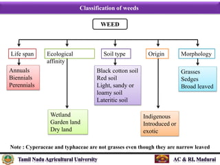 Classification of weeds
WEED
Life span Ecological
affinity
Soil type Origin Morphology
Annuals
Biennials
Perennials
Wetlan...