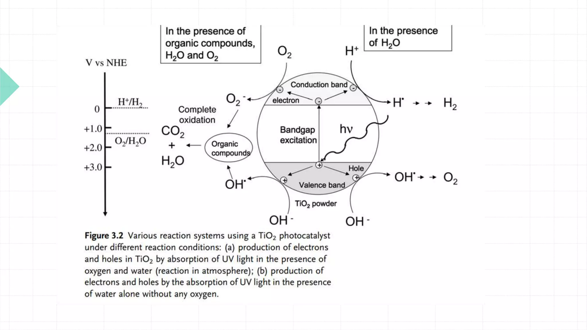 green chemistry catalysis PPT