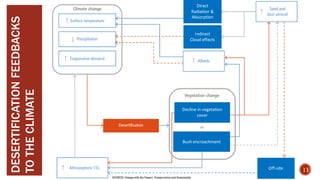 DESERTIFICATION
FEEDBACKS
TO
THE
CLIMATE
Off-site
Bush encroachment
Decline in vegetation
cover
Direct
Radiation &
Absorption
Indirect
Cloud effects
11
SOURCE- Design with the Desert: Conservation and Sustainable
 