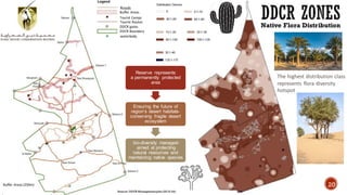 Roads
Buffer Areas
Tourist Camps
Tourist Routes
DDCR gates
DDCR Boundary
waterbody
Buffer Areas (250m)
The highest distribution class
represents flora diversity
hotspot
Reserve represents
a permanently protected
area
Ensuring the future of
region’s desert habitats-
conserving fragile desert
ecosystem
bio-diversity managed-
aimed at protecting
natural resources and
maintaining native species
DDCR ZONES
Native Flora Distribution
20
Source- DDCR Management plan (2019-24)
 