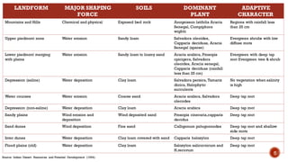 LANDFORM MAJOR SHAPING
FORCE
SOILS DOMINANT
PLANT
ADAPTIVE
CHARACTER
Mountains and Hills Chemical and physical Exposed bed rock Anogeissun latifolia Acacia
Senegal, Compiphora
wightii
Regions with rainfall less
than 25 cm
Upper piedmont zone Water erosion Sandy loam Salvadora oleoides,
Capparis deciduas, Acacia
Senegal (sparse)
Evergreen shrubs with low
diffuse roots
Lower piedmont merging
with plains
Water erosion Sandy loam to loamy sand Acacia arabica, Prosopis
cpicigera, Salvadora
oleoides, Acacia senegal,
Capparis deciduas (rainfall
less than 25 cm)
Evergreen with deep tap
root Evergreen tree & shrub
Depression (saline) Water deposition Clay loam Salvadora persica, Tamarix
dioica, Halophytic
succulents
No vegetation when salinity
is high
Water courses Water erosion Coarse sand Acacia arabica, Salvadora
olecodes
Deep tap root
Depression (non-saline) Water deposition Clay loam Acacia arabica Deep tap root
Sandy plains Wind erosion and
deposition
Wind deposited sand Prosopis cineraria,capparis
decidua
Deep tap root
Sand dunes Wind deposition Fine sand Calligonum polugonnodes Deep tap root and shallow
side roots
Inter dunes Water deposition Clay loam covered with sand Capparis haloxylon Deep tap root
Flood plains (old) Water deposition Clay loam Saloxylon salicornicum and
H.recuvum
Deep tap root
Source: Indian Desert: Resources and Potential Development (1994).
5
 