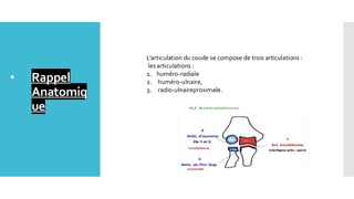 Comprehensive Overview of Elbow Dislocation: Anatomy, Diagnosis, and ...