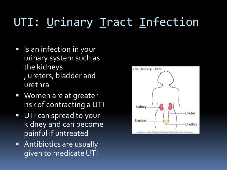 Presentation 9 anatomy and physiology of the urinary system abbrevi…