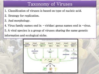 1. Classification of viruses is based on type of nucleic acid.
2. Strategy for replication.
3. And morphology.
4. Virus family names end in - viridae; genus names end in -virus.
5. A viral species is a group of viruses sharing the same genetic
information and ecological niche.
Taxonomy of Viruses
 
