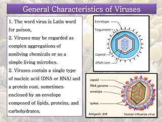 1. The word virus is Latin word
for poison,
2. Viruses may be regarded as
complex aggregations of
nonliving chemicals or as a
simple living microbes.
2. Viruses contain a single type
of nucleic acid (DNA or RNA) and
a protein coat, sometimes
enclosed by an envelope
composed of lipids, proteins, and
carbohydrates.
General Characteristics of Viruses
 