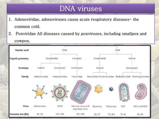 1. Adenoviridae, adenoviruses cause acute respiratory diseases- the
common cold.
2. Poxviridae All diseases caused by poxviruses, including smallpox and
cowpox.
DNA viruses
 