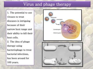 1. The potential to use
viruses to treat
diseases is intriguing
because of their
narrow host range and
their ability to kill their
host cells.
2. The idea of phage
therapy using
bacteriophage to treat
bacterial infections,
has been around for
100 years.
Virus and phage therapy
 
