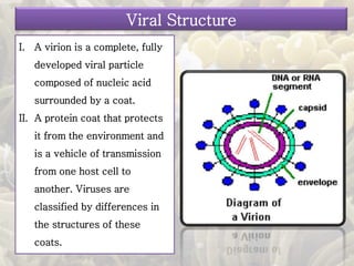 I. A virion is a complete, fully
developed viral particle
composed of nucleic acid
surrounded by a coat.
II. A protein coat that protects
it from the environment and
is a vehicle of transmission
from one host cell to
another. Viruses are
classified by differences in
the structures of these
coats.
Viral Structure
 