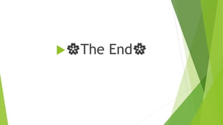 🌸The End🌸
 