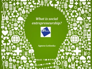 What is social
entrepreneurship?




   Agnese Lešinska
 