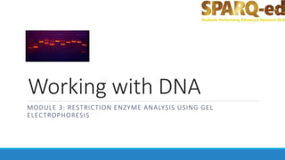 Working with DNA
MODULE 3: RESTRICTION ENZYME ANALYSIS USING GEL
ELECTROPHORESIS
 