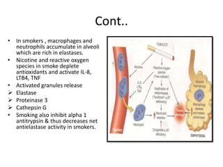 Cont..
• In smokers , macrophages and
neutrophils accumulate in alveoli
which are rich in elastases.
• Nicotine and reactive oxygen
species in smoke deplete
antioxidants and activate IL-8,
LTB4, TNF
• Activated granules release
 Elastase
 Proteinase 3
 Cathepsin G
• Smoking also inhibit alpha 1
antitrypsin & thus decreases net
antielastase activity in smokers.
 