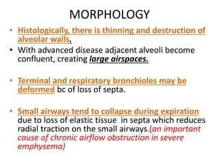 MORPHOLOGY
• Histologically, there is thinning and destruction of
alveolar walls.
• With advanced disease adjacent alveoli become
confluent, creating large airspaces.
• Terminal and respiratory bronchioles may be
deformed bc of loss of septa.
• Small airways tend to collapse during expiration
due to loss of elastic tissue in septa which reduces
radial traction on the small airways.(an important
cause of chronic airflow obstruction in severe
emphysema)
 