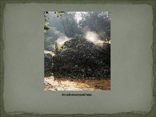 An active compost heap 