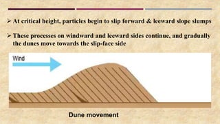  At critical height, particles begin to slip forward & leeward slope slumps
 These processes on windward and leeward sides continue, and gradually
the dunes move towards the slip-face side
Dune movement
 