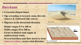 Barchans
 Crescentic-shaped dunes.
 Tips extending to leeward, make this side
concave & windward side convex.
 Migrates in the downwind direction
 Height ranges 0.5 to 100 m.
 Width ranges 30 to 300 m.
 Forms in limited sand supply &
unidirectional winds.
 Several barchans join their horns to form
transverse dunes, across wind direction.
https://en.wikipedia.org/wiki/Barchan#/media/File:Barchan.jpg
https://en.wikipedia.org/wiki/Dune#/media/File:Tranverse_dune.jpg
 