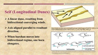 Seif (Longitudinal Dunes)
 A linear dune, resulting from
bidirectional converging winds.
 Axis aligned parallel to resultant
direction.
 When barchan moves into
bidirectional regime, one horn
elongates.
https://media.springernature.com/lw685/springer-static/image/prt%3A978-1-4614-3134
3%2F12/MediaObjects/978-1-4614-3134-3_12_Part_Fig1-460_HTML.gif
https://i0.wp.com/academistan.com/wp-content/uploads/2022/12/Seif-
Formation.jpg?w=625&ssl=1
 