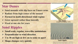 Star Dunes
 Sand mounds with slip faces on 3/more arms
 Radiate from high center of the mound
 Formed in multi-directional wind regime
 Grow upward rather than laterally
 Fixed at one site for years
Sand Ripples
 Small scale, regular, wave-like undulations
 Perpendicular to wind direction
 1 to 30 cm high & few cm to some m apart
 Shape changes very quickly Sand ripples
Star dunes
https://en.wikipedia.org/wiki/Ripple_marks#/me
dia/File:1969_Afghanistan_(Sistan)_wind_rippl
Adapted from McKee (1979)
 