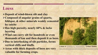 Loess
Deposit of wind-blown silt and clay
Composed of angular grains of quartz,
feldspar, & other minerals weakly cemented
by calcite
Has high porosity, nearly 60% & lacks
layering
Wind can carry silt for hundreds or even
thousands of km and then deposit it as loess.
Due to interlocking of silt particles, forms
vertical cliffs and bluffs.
Areas with thick deposits of loess are very
valuable for farming crops.
https://en.wikipedia.org/wiki/Loess#/media/File:LoessVicksbur
Loess in Vicksburg, Mississippi, United States
 