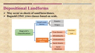 Depositional Landforms
 May occur as sheets of sand/loess/dunes.
 Bagnold (1941 ):two classes based on scale.
 