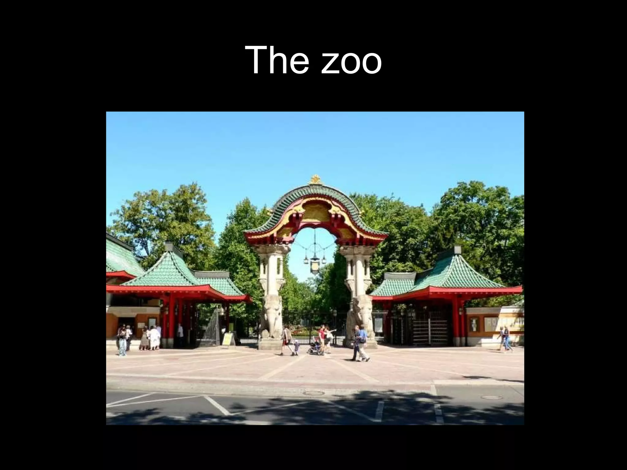 The zoo
 