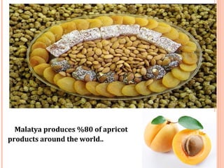 Malatya produces %80 of apricot 
products around the world.. 
 