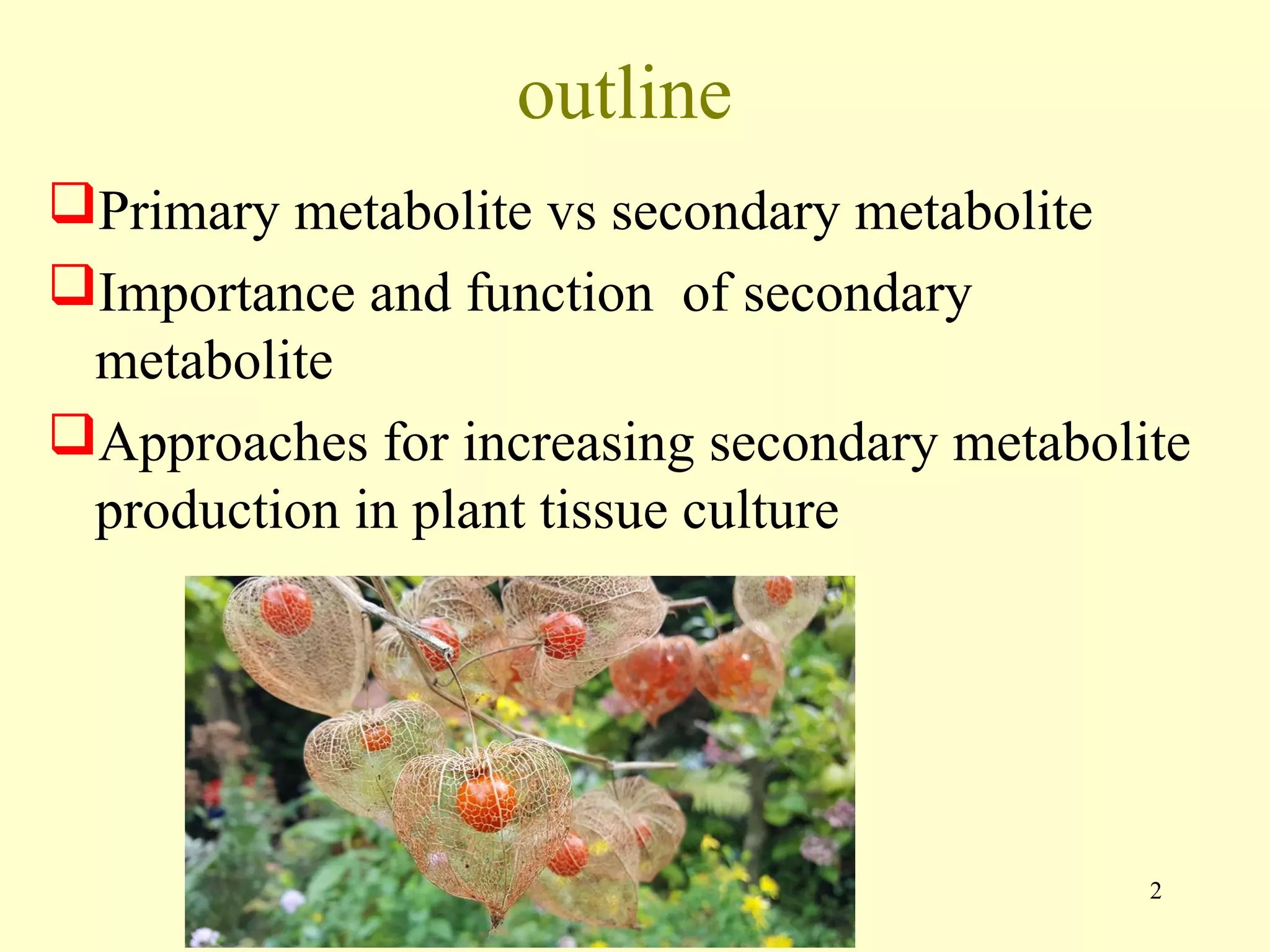 Current approaches toward production of secondary plant metabolites | PPT