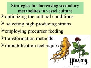 Current approaches toward production of secondary plant metabolites | PPT