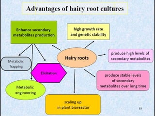 Current approaches toward production of secondary plant metabolites | PPT