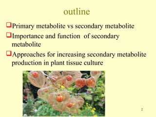 Current approaches toward production of secondary plant metabolites | PPT