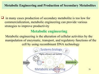 Current approaches toward production of secondary plant metabolites | PPT