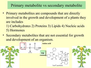 Current approaches toward production of secondary plant metabolites | PPT