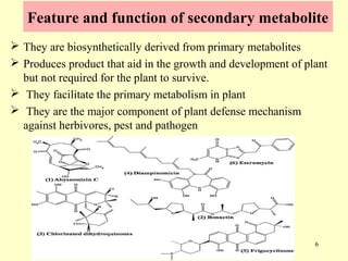 Current approaches toward production of secondary plant metabolites | PPT