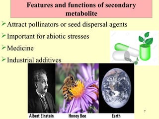Current approaches toward production of secondary plant metabolites | PPT