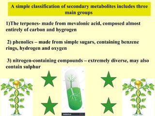 Current approaches toward production of secondary plant metabolites | PPT