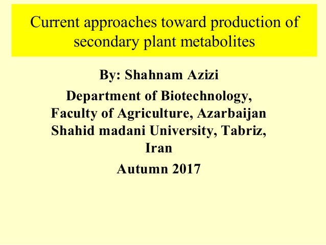 Current Approaches Toward Production Of Secondary Plant Metabolites ...