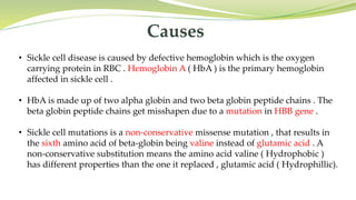 Causes
• Sickle cell disease is caused by defective hemoglobin which is the oxygen
carrying protein in RBC . Hemoglobin A ( HbA ) is the primary hemoglobin
affected in sickle cell .
• HbA is made up of two alpha globin and two beta globin peptide chains . The
beta globin peptide chains get misshapen due to a mutation in HBB gene .
• Sickle cell mutations is a non-conservative missense mutation , that results in
the sixth amino acid of beta-globin being valine instead of glutamic acid . A
non-conservative substitution means the amino acid valine ( Hydrophobic )
has different properties than the one it replaced , glutamic acid ( Hydrophillic).
 