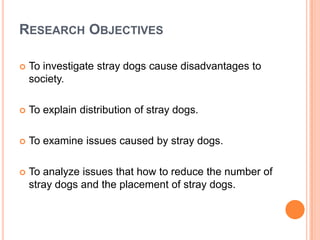 Presentation about stray dogs | PPTX