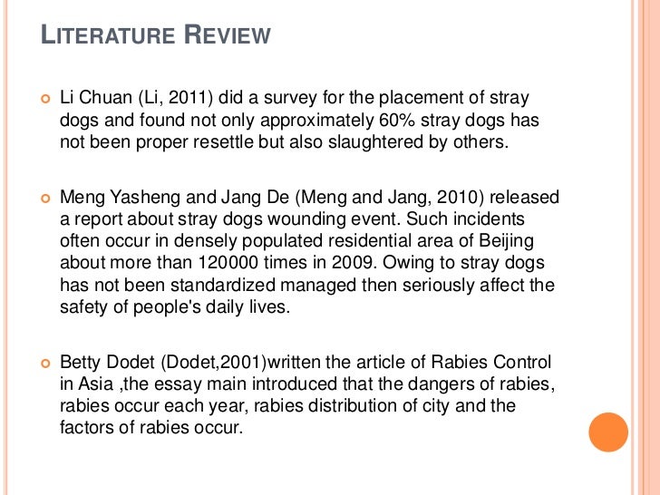 Presentation about stray dogs