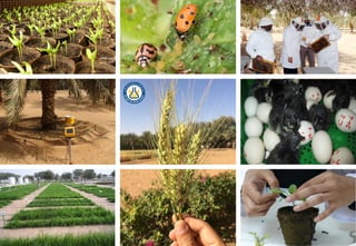 Presentation abu dhabi food control authority