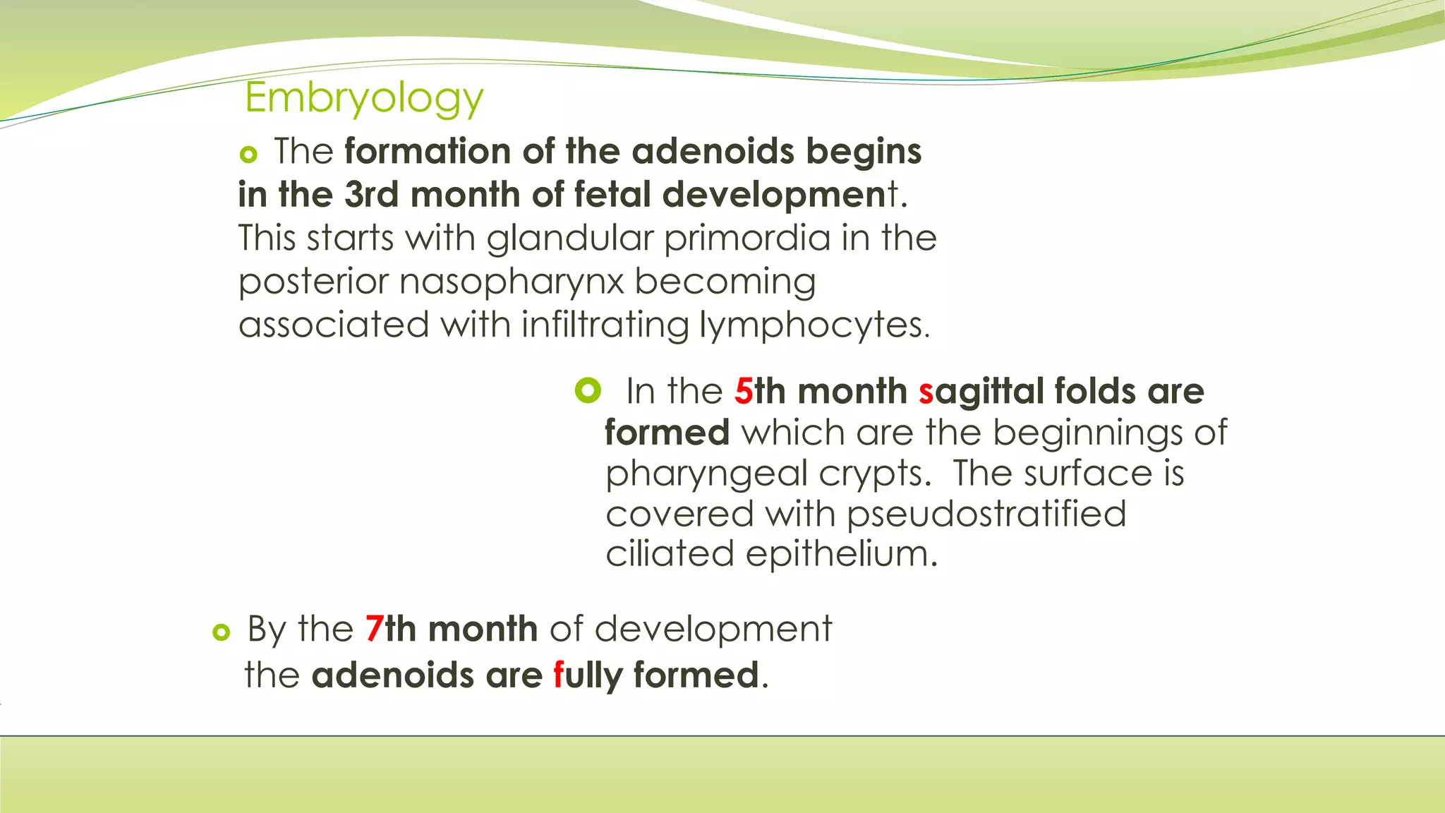 Embryology
The formation of the adenoids begins
in the 3rd month of fetal development.
This starts with glandular primordia in the
posterior nasopharynx becoming
associated with infiltrating lymphocytes.
In the 5th month sagittal folds are
formed which are the beginnings of
pharyngeal crypts. The surface is
covered with pseudostratified
ciliated epithelium.
By the 7th month of development
the adenoids are fully formed.
 