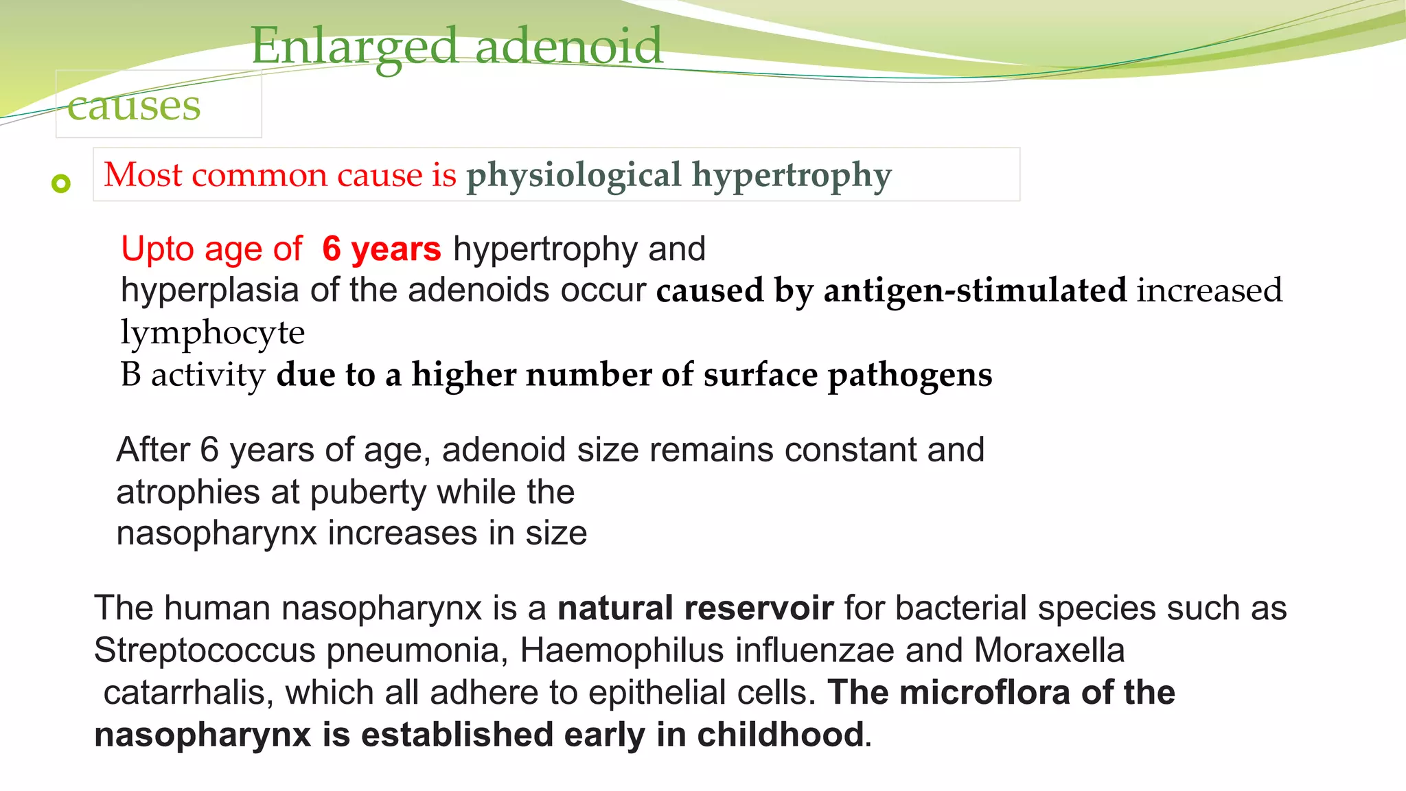 Enlarged adenoid
 Most common cause is physiological hypertrophy
causes
Upto age of 6 years hypertrophy and
hyperplasia of the adenoids occur caused by antigen-stimulated increased
lymphocyte
B activity due to a higher number of surface pathogens
After 6 years of age, adenoid size remains constant and
atrophies at puberty while the
nasopharynx increases in size
The human nasopharynx is a natural reservoir for bacterial species such as
Streptococcus pneumonia, Haemophilus influenzae and Moraxella
catarrhalis, which all adhere to epithelial cells. The microflora of the
nasopharynx is established early in childhood.
 
