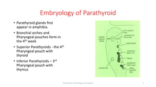 Embryology of Parathyroid
• Parathyroid glands first
appear in amphibia.
• Branchial arches and
Pharyngeal pouches form in
the 4th week
• Superior Parathyroids - the 4th
Pharyngeal pouch with
thyroid
• Inferior Parathyroids – 3rd
Pharyngeal pouch with
thymus
5
Parathyroid Embryology and Anatomy
 