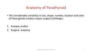Anatomy of Parathyroid
• The considerable variability in size, shape, number, location and color
of these glands creates unique surgical challenges.
1. Autopsy studies
2. Surgical anatomy
Parathyroid Embryology and Anatomy 6
 