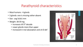 Parathyroid characteristics
• Most humans : 4 glands
• 3 glands: one is missing rather absent
• Size : avg 5x3x1 mm
• Weight: 38-59 mg
• Increases till 5th decade
• Lower glands more than upper
• Increased in mal-absorption and vit D def
Parathyroid Embryology and Anatomy 8
 