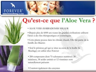 Qu’est-ce que l’Aloe Vera ?
 • ALOE VERA BARBADENSIS MILLER
 • Depuis plus de 6000 ans toutes les grandes civilisations utilisent
 l'aloès à des fins thérapeutiques et cosmétiques
 • Cette plante pousse dans les climats chauds. Elle fait partie de la
 famille des liliacées

  • Seul le précieux gel qui se situe au cœur de la feuille (le
  Mucilage) est utilisé chez Forever

  • 200 composants dont 75 substances nutritives: 20
  minéraux, 18 acides aminés et 12 vitamines sont
  naturellement présents

  • Contient également des enzymes
        Présentation de l’Opportunité d’Affaire
 
